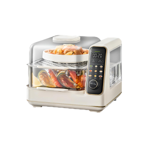Visible Digital Steamer